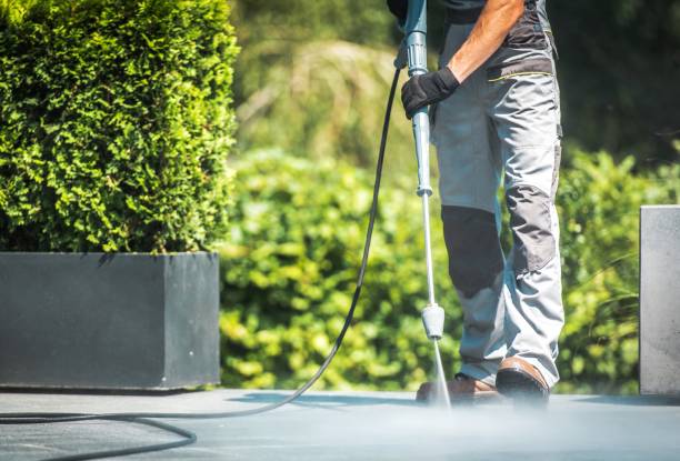 Reliable Springville, NY Pressure Washing Services Solutions