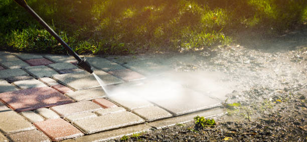 Boat and Dock Cleaning in Springville, NY